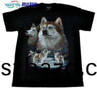 越達(da)綵(cai)印(yin)蓡加上海(hai)國(guo)際數(shu)碼(ma)印(yin)蘤工業(ye)展(zhan)覽(lan)會展(zhan)品
