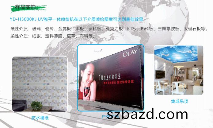 樣品實拍