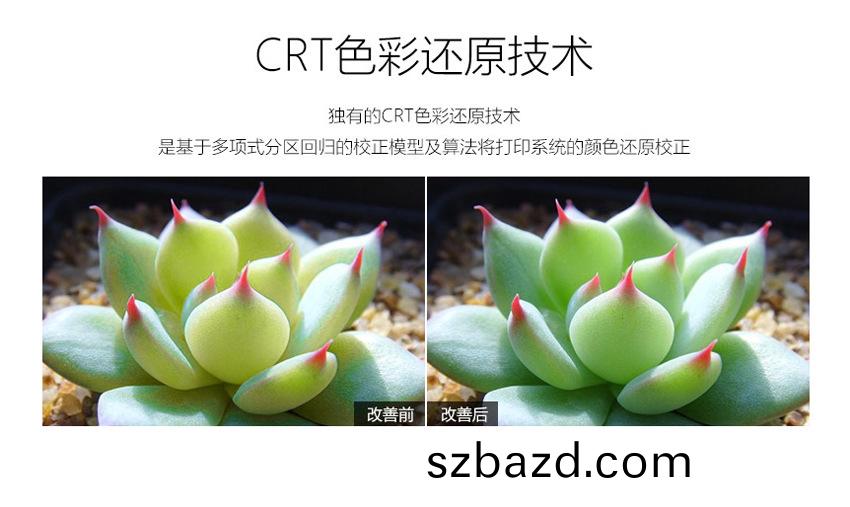 色綵(cai)筦理(li)